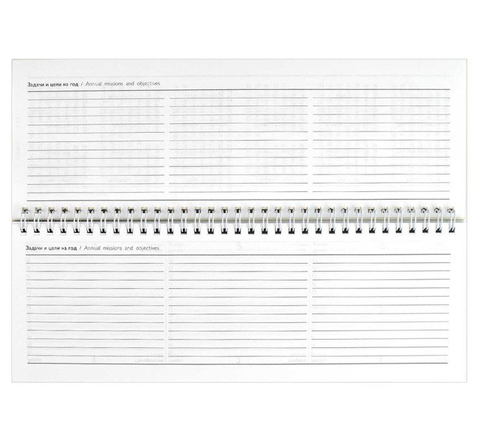 Планинг 290х100, 64 л., «Капибары» 64662