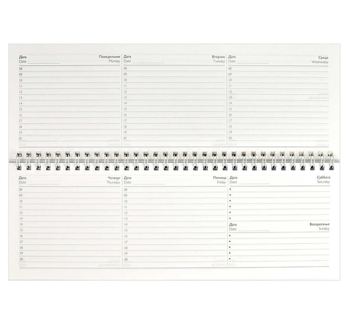 Планинг 290х100, 64 л., «Капибары» 64662