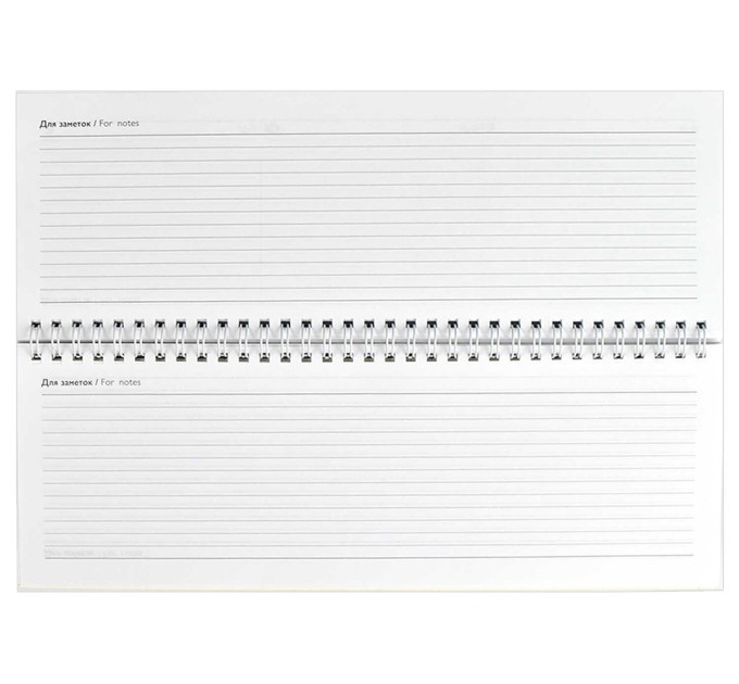 Планинг 290х100, 64 л., «Капибары» 64662