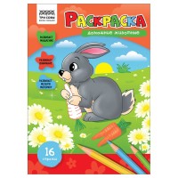 Раскраска A4, 8 л., «Домашние животные» РА4_56202