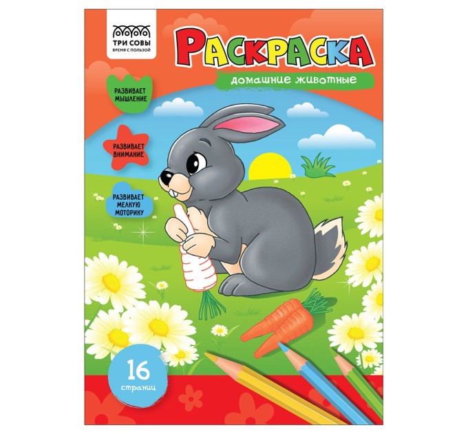 Раскраска A4, 8 л., «Домашние животные» РА4_56202