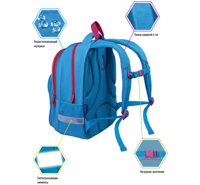 Рюкзак детский Ergo «Cats paw» 2 отделения, 4 кармана, ортопедическая ЭВА спинка RU06804