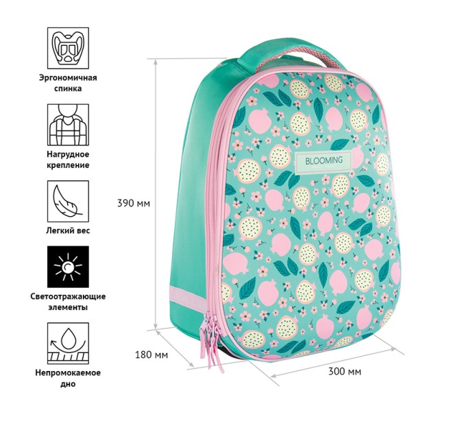 Ранец школьный School Friend «Fruits», 2 отделения, 1 карман, анатомическая спинка Uni_17675