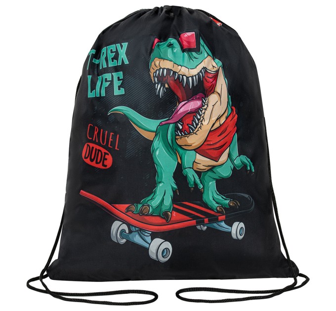 Мешок для обуви, 1 отделение, 40х32 см, «T-Rex» 271606