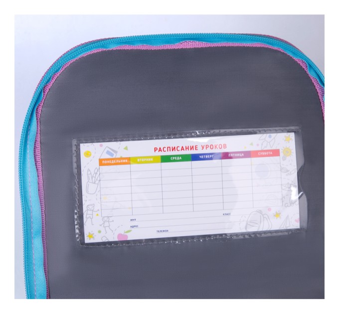 Ранец школьный Junior «Spring», 1 отделение, 3 кармана, ортопедическая спинка Uni_17664