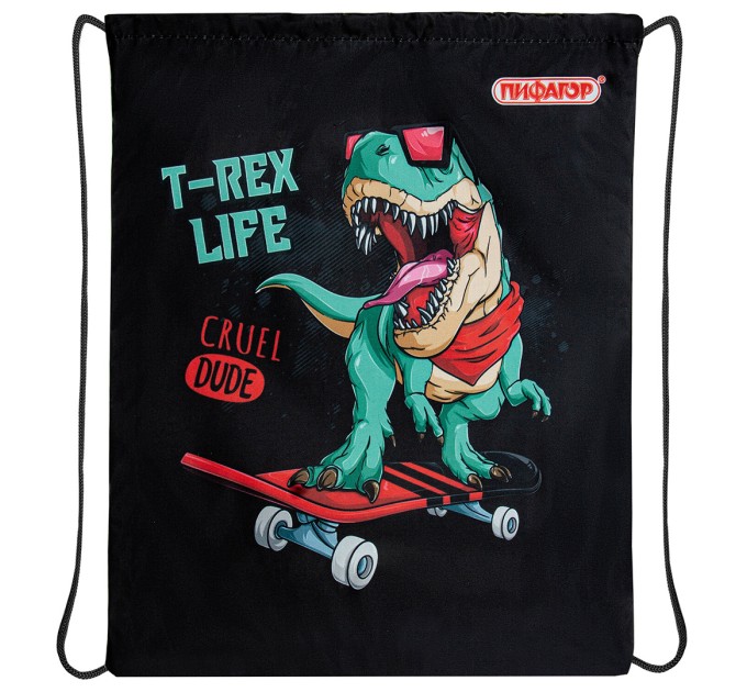 Мешок для обуви, 1 отделение, 40х32 см, «T-Rex» 271606