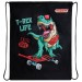 Мешок для обуви, 1 отделение, 40х32 см, «T-Rex» 271606