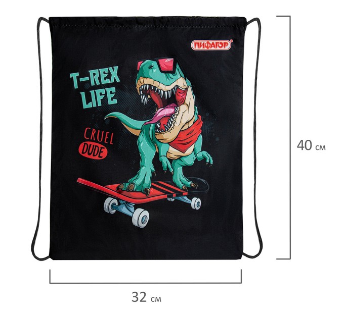 Мешок для обуви, 1 отделение, 40х32 см, «T-Rex» 271606