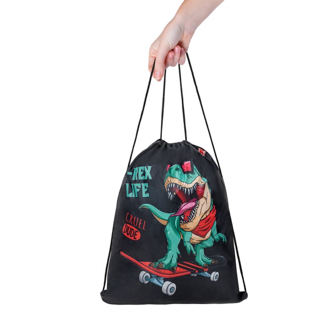 Мешок для обуви, 1 отделение, 40х32 см, «T-Rex» 271606