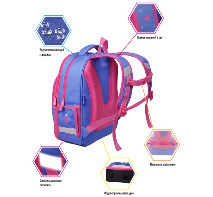 Ранец школьный облегченный Flash «Pretty corgi», 2 отделения, 3 кармана, анатом. спинка RU06404