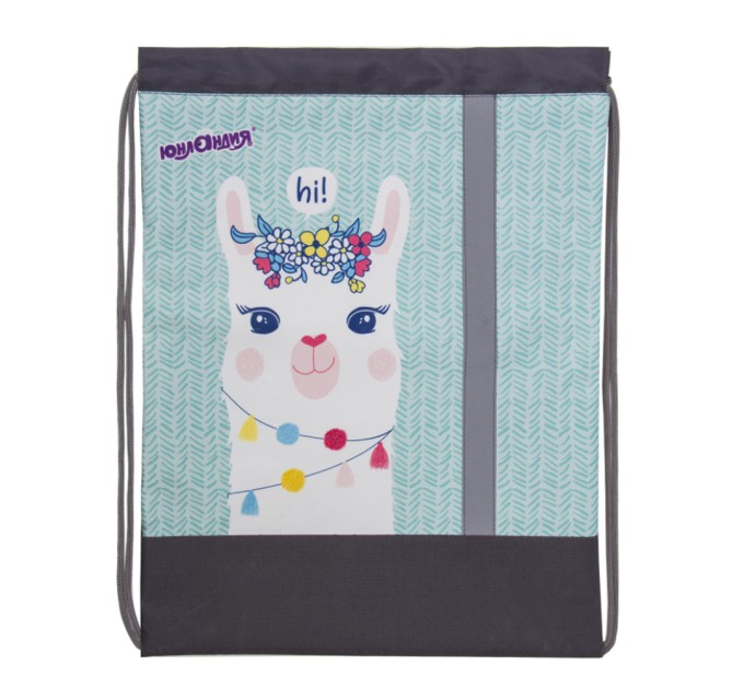 Мешок для обуви 1 отделение, светоотражающая полоса, 46х36 см, «Lama» 270188