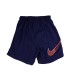 Шорты мужские спортивные Nike