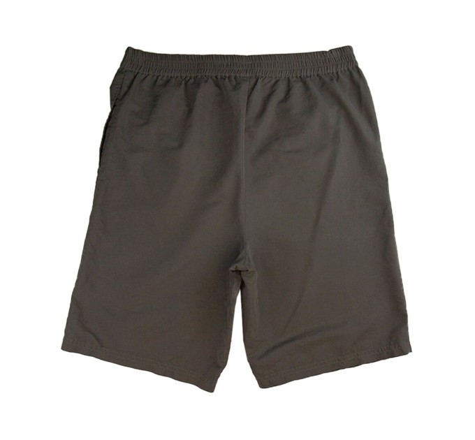 Шорты мужские Splash