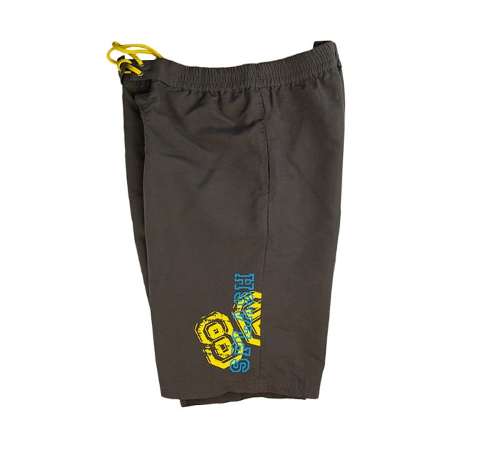 Шорты мужские Splash