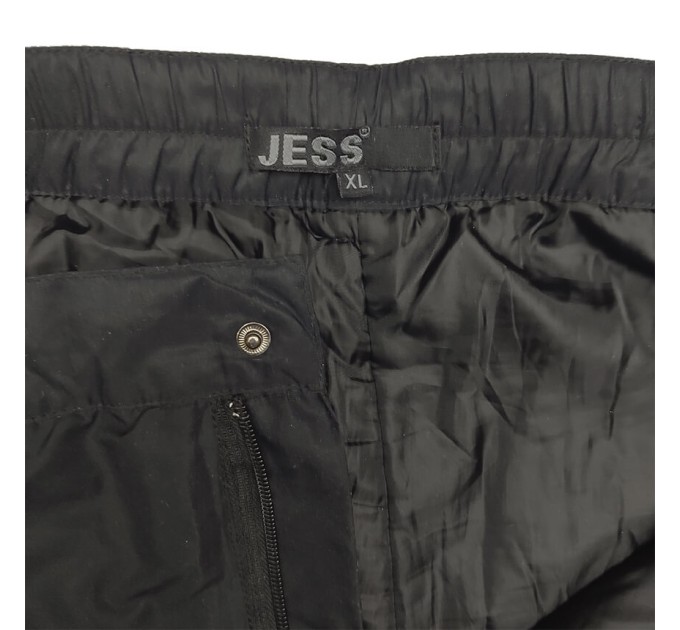 Брюки спортивные мужские Jess