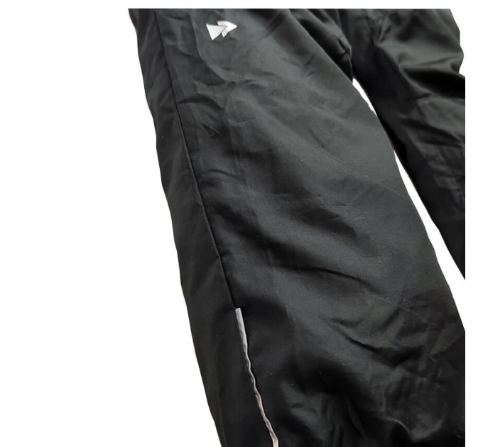 Брюки спортивные мужские Future