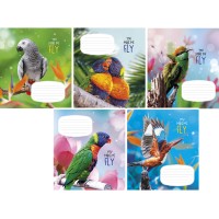 Тетрадь A5, 24 л., линейка, «YOU MAKE ME FLY» 2846