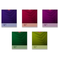 Набор тетрадей A5, 18 л., линейка, «Duotone Next», 10 шт в термопленке 56303/н