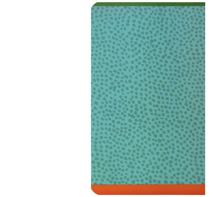 Тетрадь A5, 48 л., клетка, «Find your way», ламинация N5c48-33366