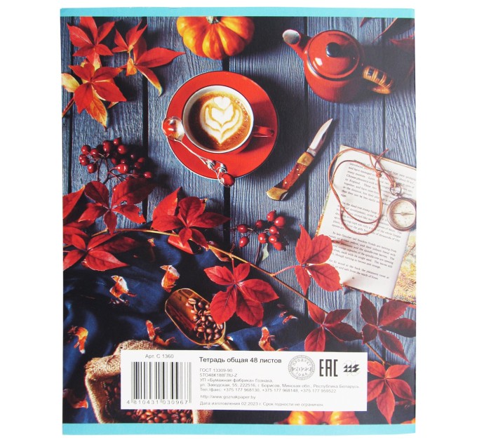 Набор тетрадей A5, 48 л., клетка 4 шт., «С добрым утром», глитерный лак, уценка! C 1360