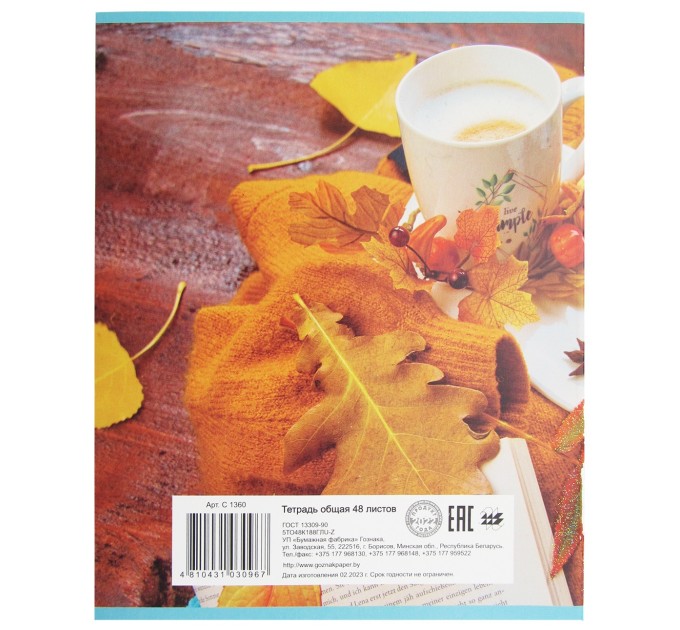 Набор тетрадей A5, 48 л., клетка 4 шт., «С добрым утром», глитерный лак, уценка! C 1360