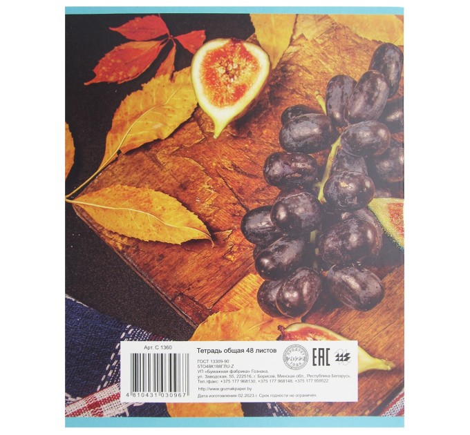 Набор тетрадей A5, 48 л., клетка 4 шт., «С добрым утром», глитерный лак, уценка! C 1360