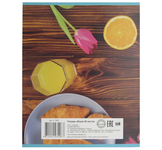 Набор тетрадей A5, 48 л., клетка 4 шт., «С добрым утром», глитерный лак, уценка! C 1360