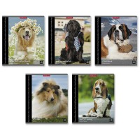 Тетрадь А5, 48 л., клетка, «Энциклопедия. Самые добрые собаки» 49638