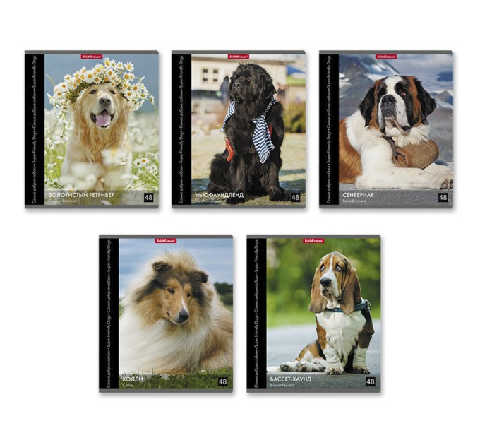 Тетрадь А5, 48 л., клетка, «Энциклопедия. Самые добрые собаки» 49638