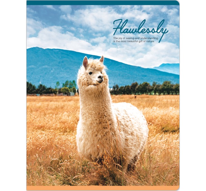 Тетрадь A5, 48 л., клетка, «Gift of nature», матовая ламинация N5c48-33344