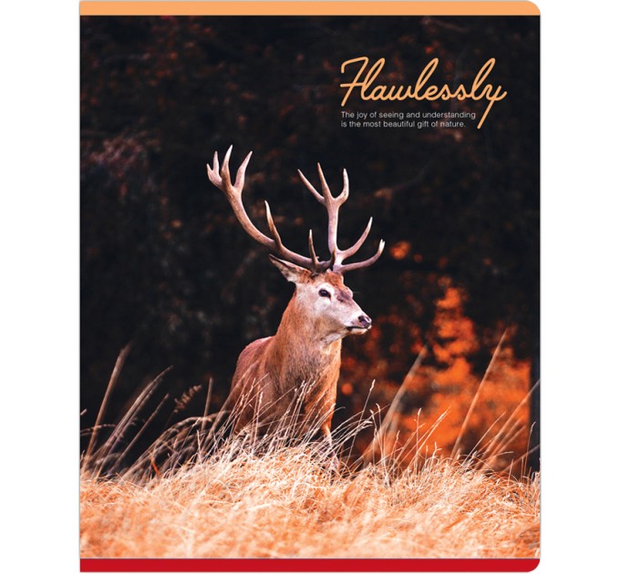 Тетрадь A5, 48 л., клетка, «Gift of nature», матовая ламинация N5c48-33344