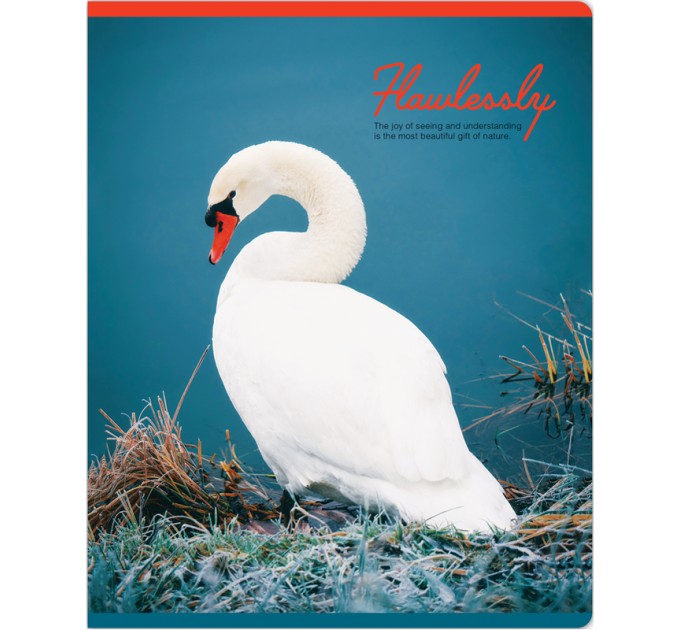 Тетрадь A5, 48 л., клетка, «Gift of nature», матовая ламинация N5c48-33344