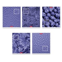 Набор тетрадей А5, 48 л., клетка, 10 штук, «Черничный рай» 48ТСК5_1_3_1