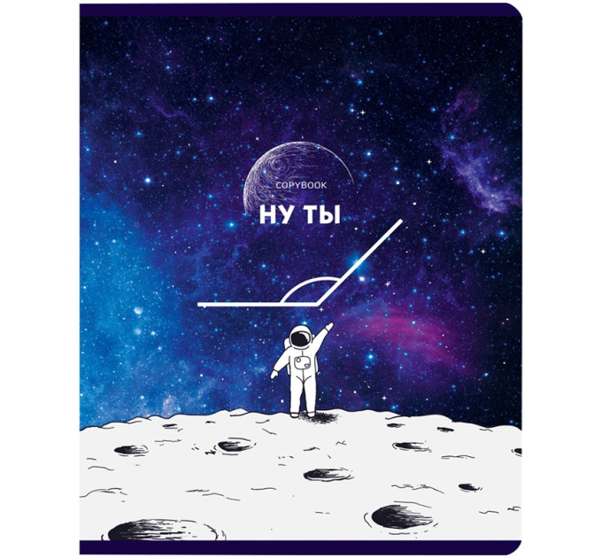 Тетрадь A5, 60 л., клетка, «Ну ты тупой!» Т5ск60 9613