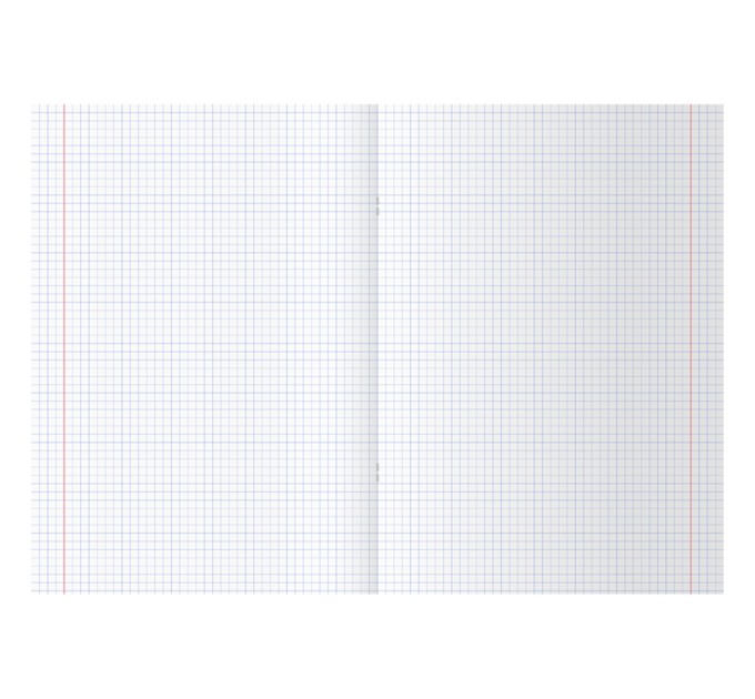 Тетрадь A5, 60 л., клетка, «Ну ты тупой!» Т5ск60 9613