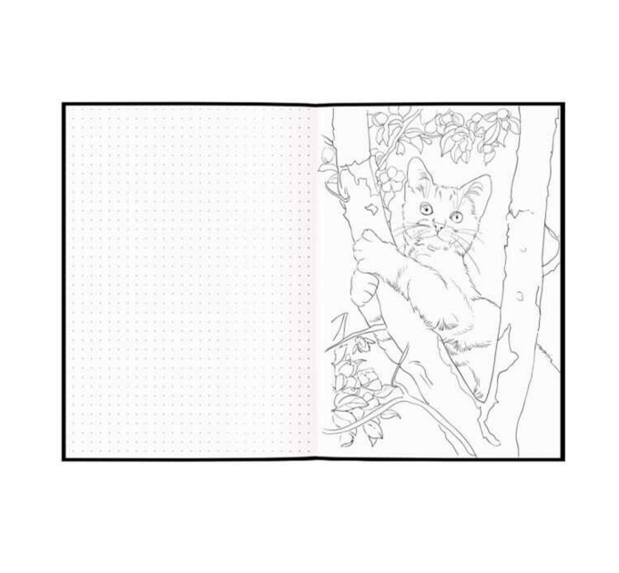 Скетчпад А5, 56 л., 4 вида бумаг+раскраски, «Маяк» 59872