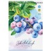 Скетчбук-блокнот А6, 60 л., на гребне, «Fruit Collection», 120 г/м² С60грг_47667