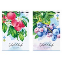Скетчбук-блокнот А6, 60 л., на гребне, «Fruit Collection», 120 г/м² С60грг_47667