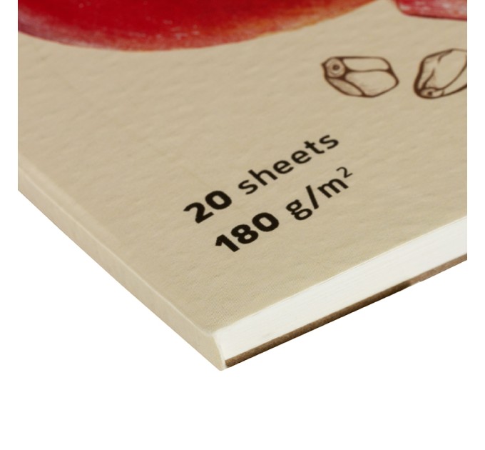 Скетчбук для акварели, на склейке, 190х190 мм, 20 л., «Fruits» Сак20сг_38351