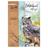 Скетчпад A5, 48 л., 3 вида бумаг+раскраски, «Сова» 62411