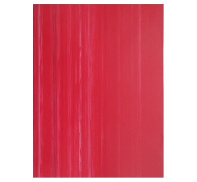 Тетрадь A4, 96 л., клетка 488С