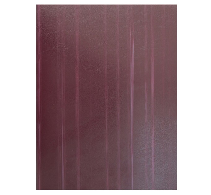 Тетрадь A4, 96 л., клетка 488С