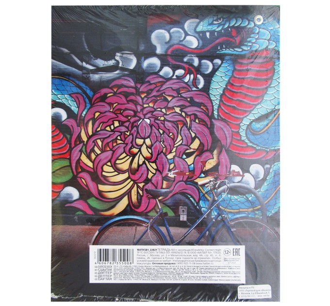 Тетрадь A5, 160 л., клетка, на кольцах, «Street ART» 160ТК5В1_22821