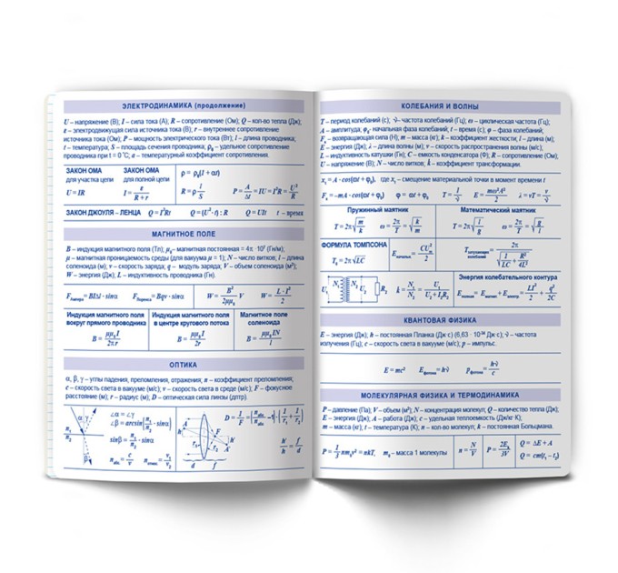 Тетрадь предметная А5, 48 л., клетка, «Линия успеха» Физика 48ТПСК5_126_2_1