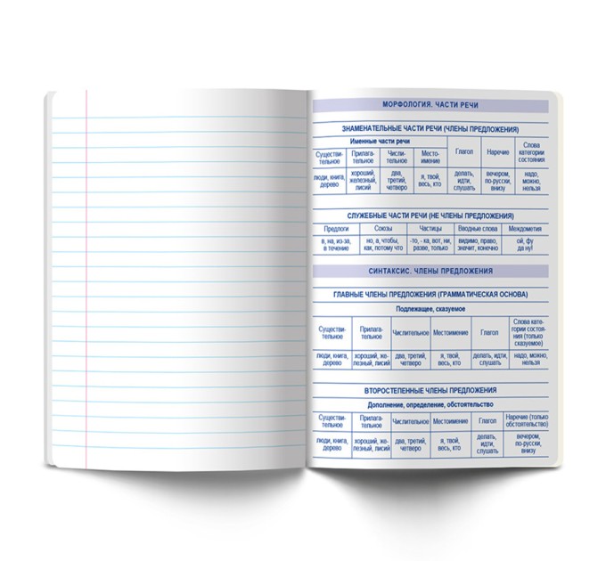 Тетрадь предметная А5, 48 л., линейка, «Линия успеха» Русский язык 48ТПСК5_126_2_2