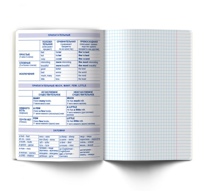 Тетрадь предметная А5, 48 л., клетка, «Линия успеха» Английский язык 48ТПСК5_126_2_1