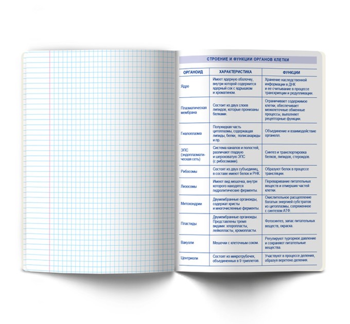 Тетрадь предметная А5, 48 л., клетка, «Линия успеха» Биология 48ТПСК5_126_2_1