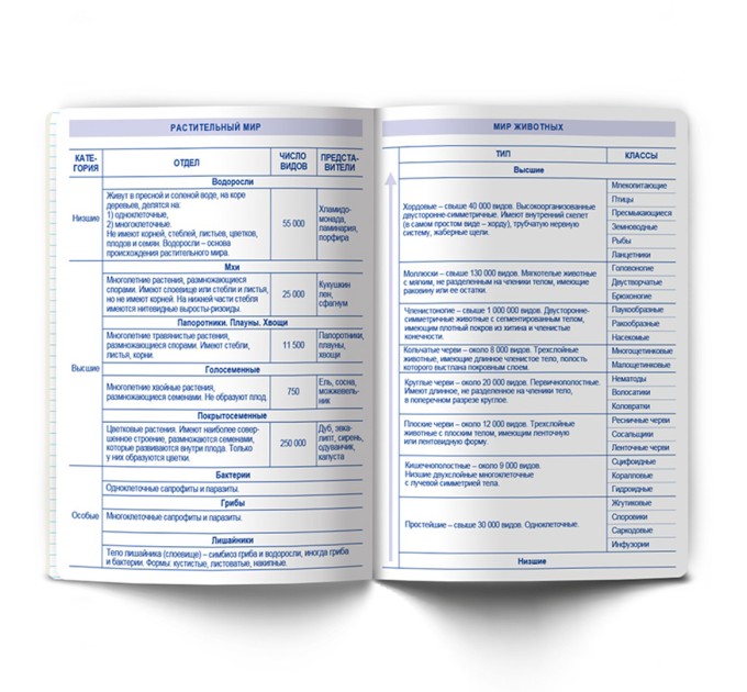 Тетрадь предметная А5, 48 л., клетка, «Линия успеха» Биология 48ТПСК5_126_2_1