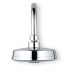 Верхний душ Grohe Rainshower Rustic 160